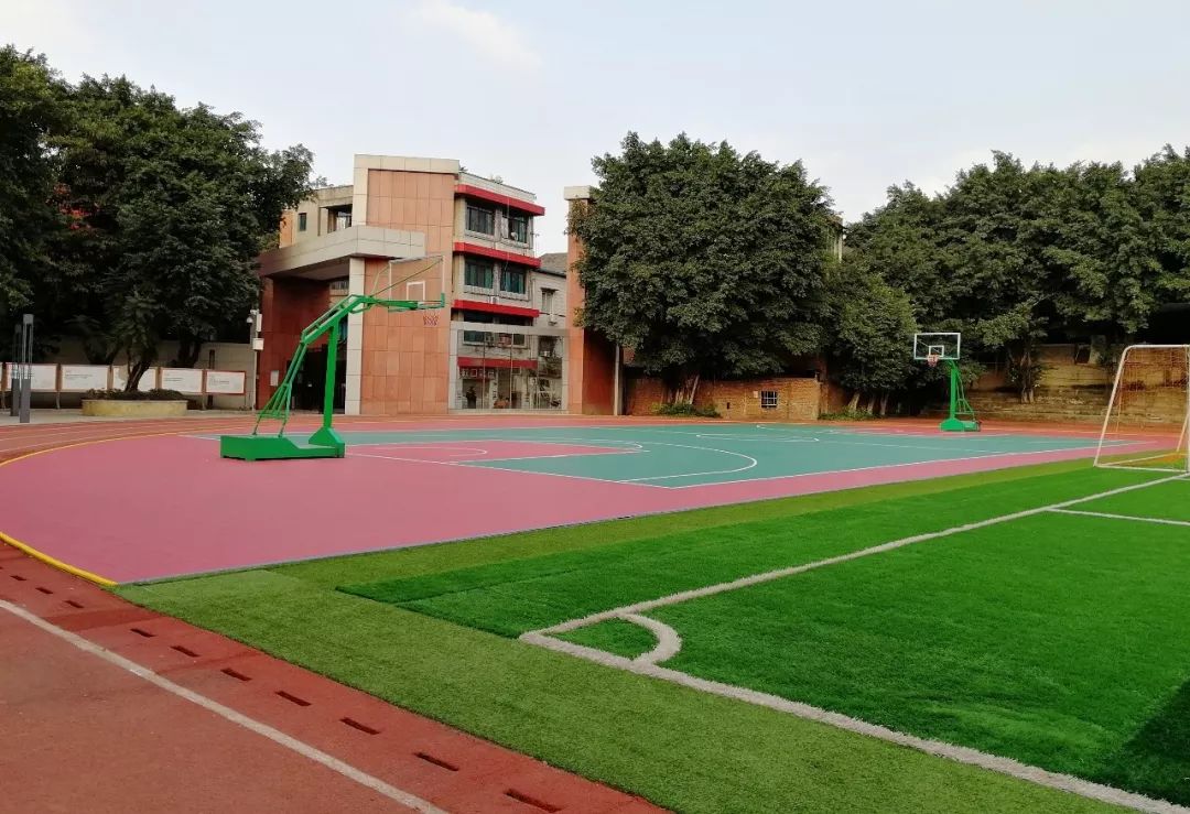 沙坪坝最好的中学校,沙坪坝区初中学校排名