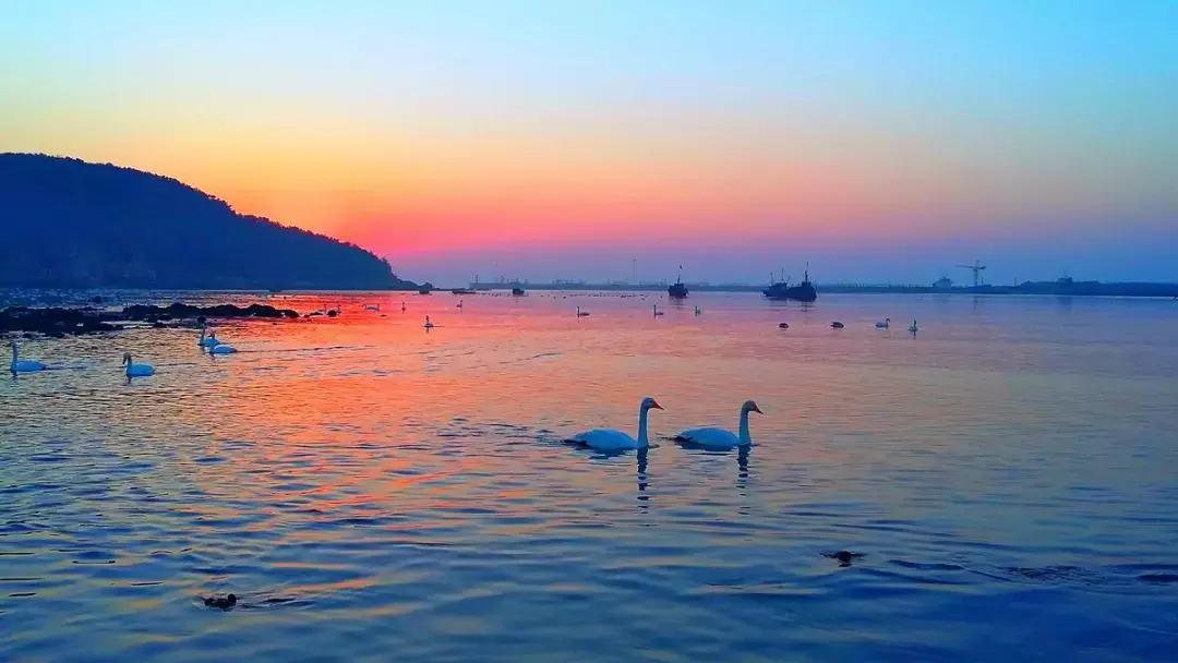 中国最具幸福感县级市江浙,中国最具幸福感县级市名单