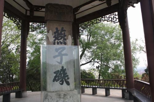 皇帝吃的长江鲥鱼,探秘美食长江鲥鱼的前世今生