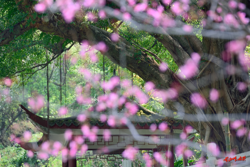 摄影就是记录流逝的时光,摄影捕捉生活的美好瞬间