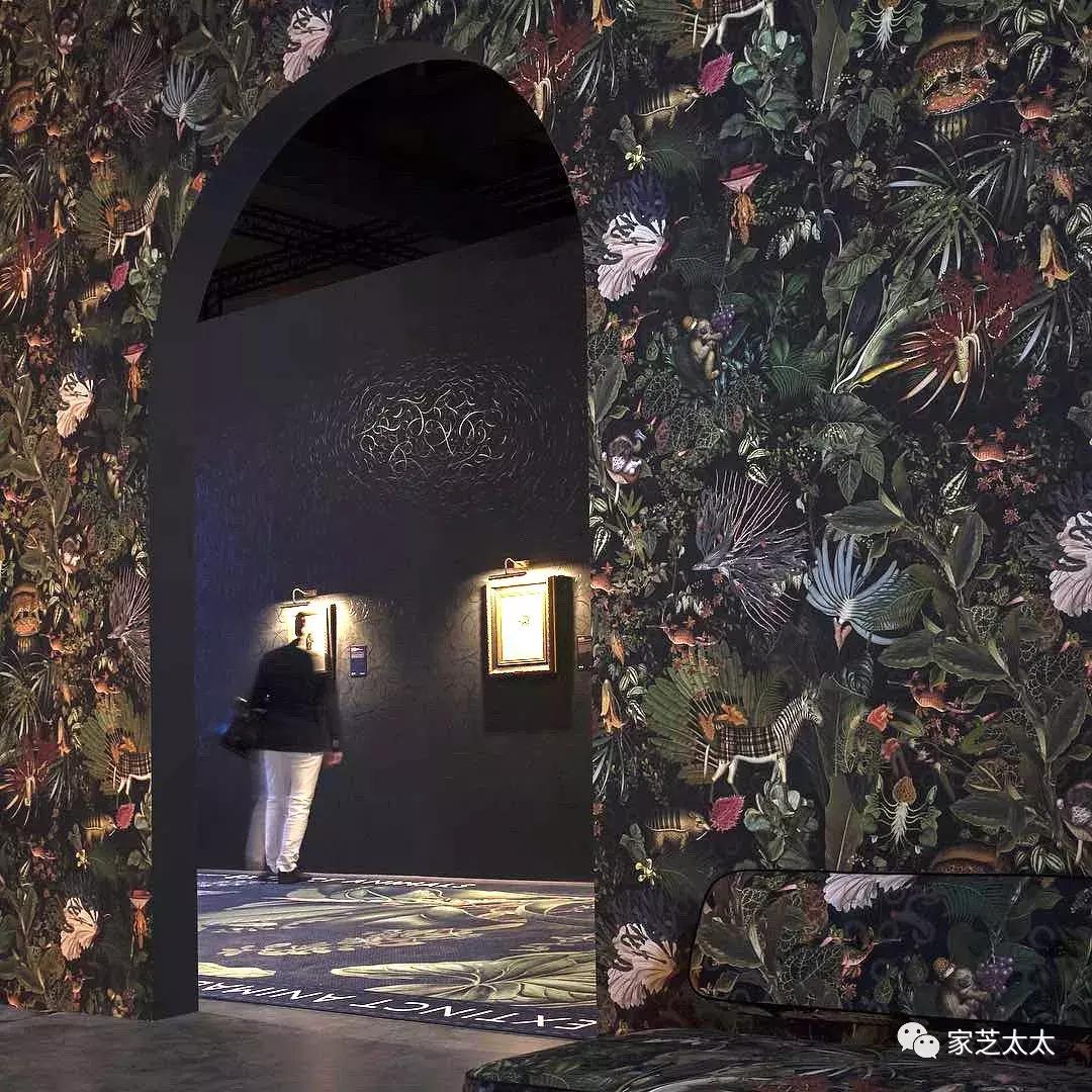 壁纸挑选颜色,壁纸种类推荐