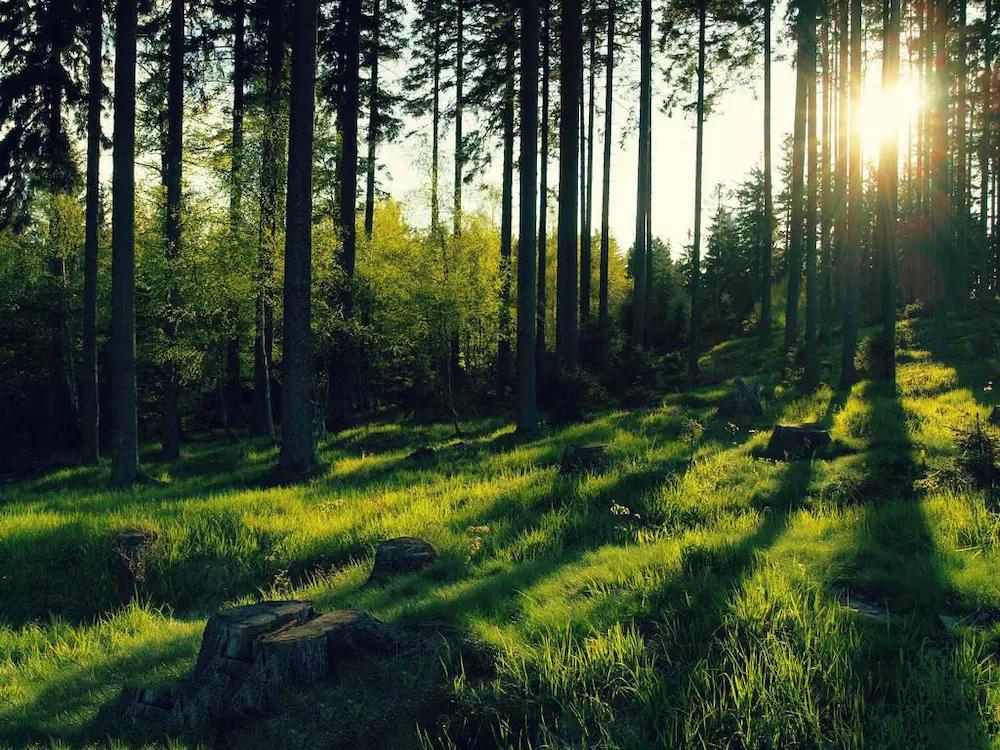 绘画基础配色图解,绘画配色基础教程