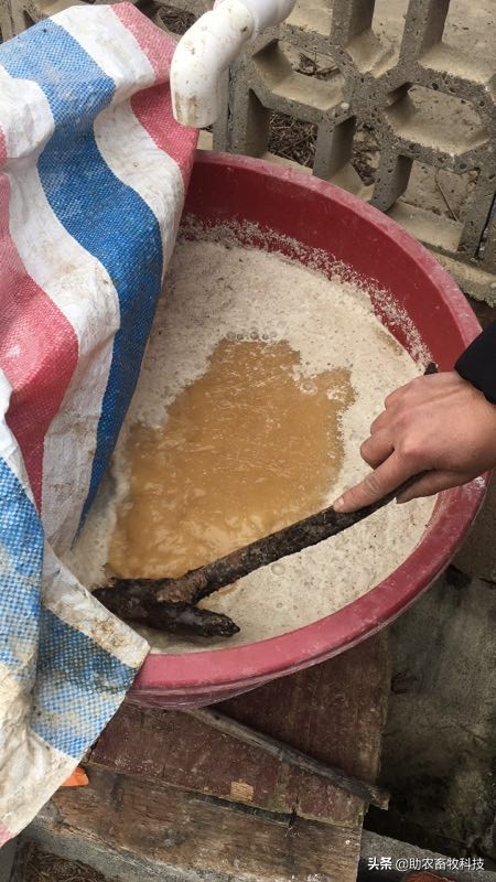 鸭粪除臭的最好方法,鸭场除臭味最快的方法