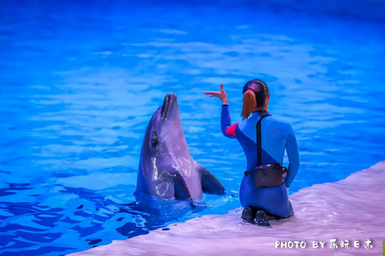 珠海亲子游必玩景点,珠海一日游适合带孩子玩的景点