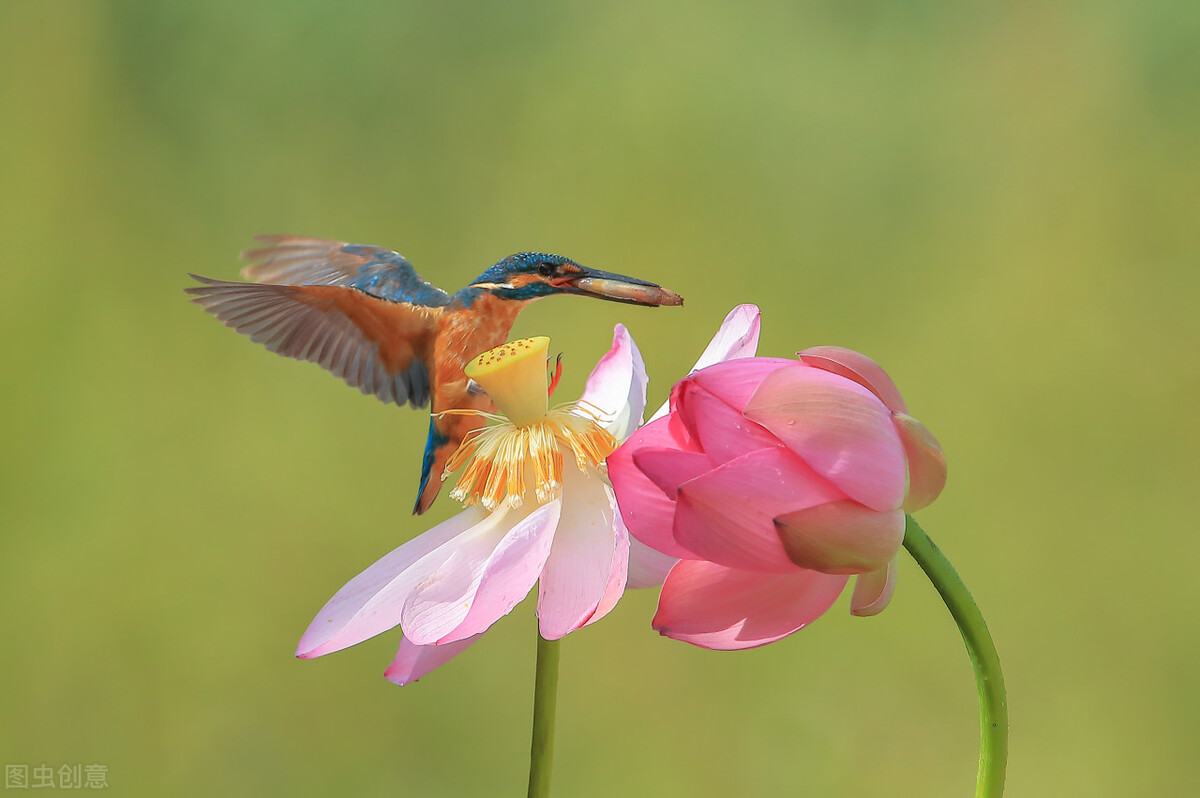 产科女医生的故事,妇产科门诊精彩故事