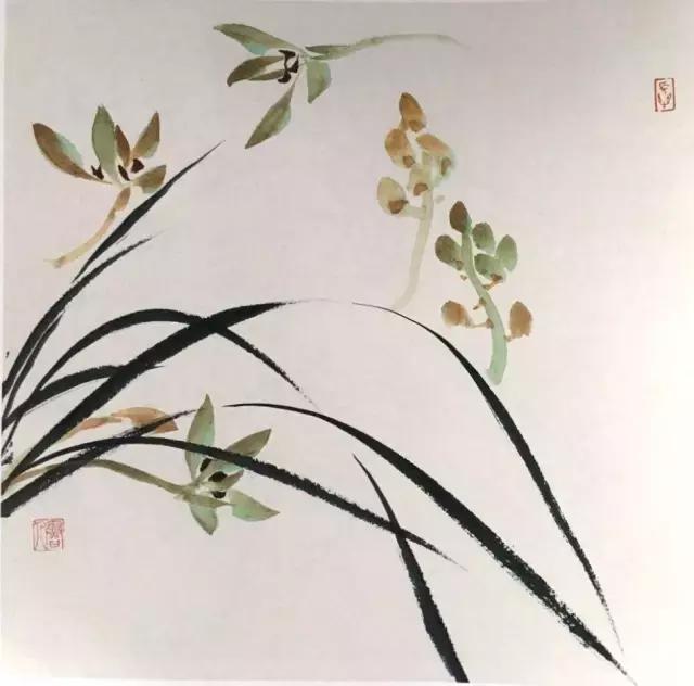 徐湛国画兰花的画法,徐湛国画兰花的画法视频教学