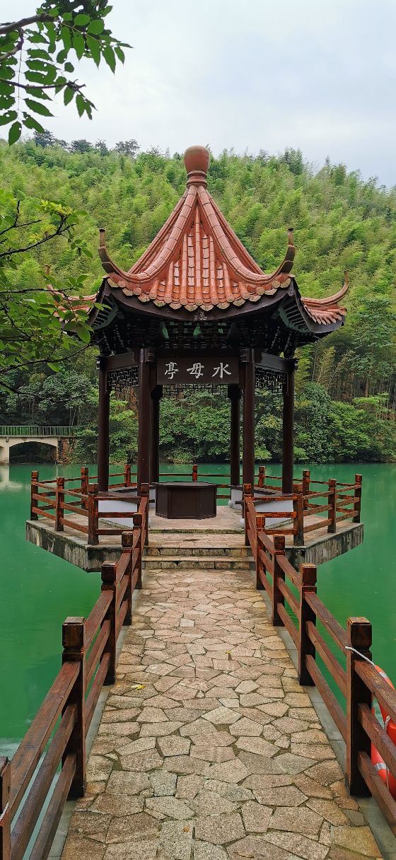 清新大自然竹林风景视频,宜兴竹海风景区图片欣赏