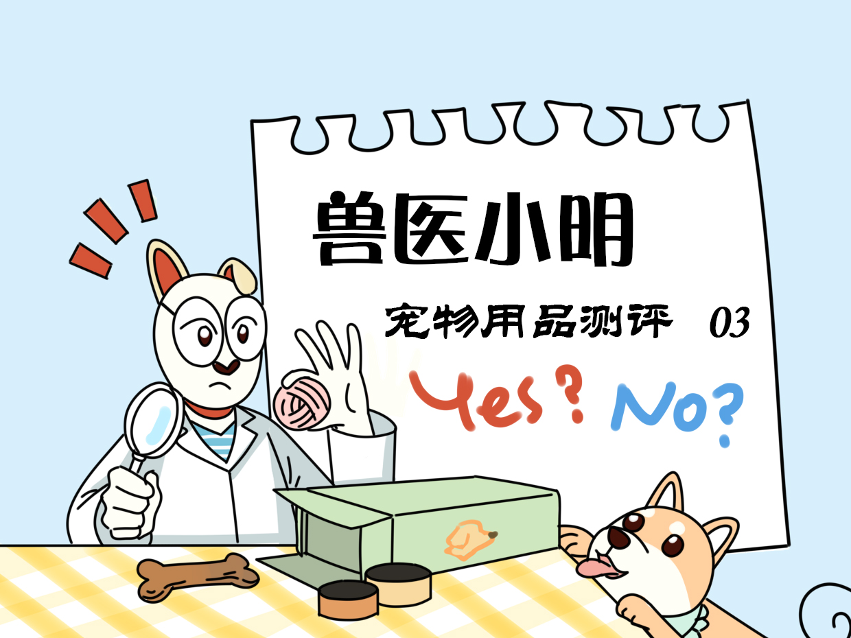 猫咪喝水自动饮水机,猫咪自动饮水机能让猫咪喝水