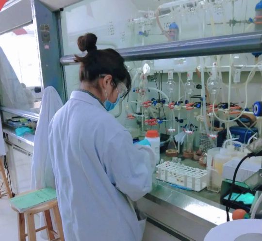 向往的生活1中的小院,精装版向往的生活