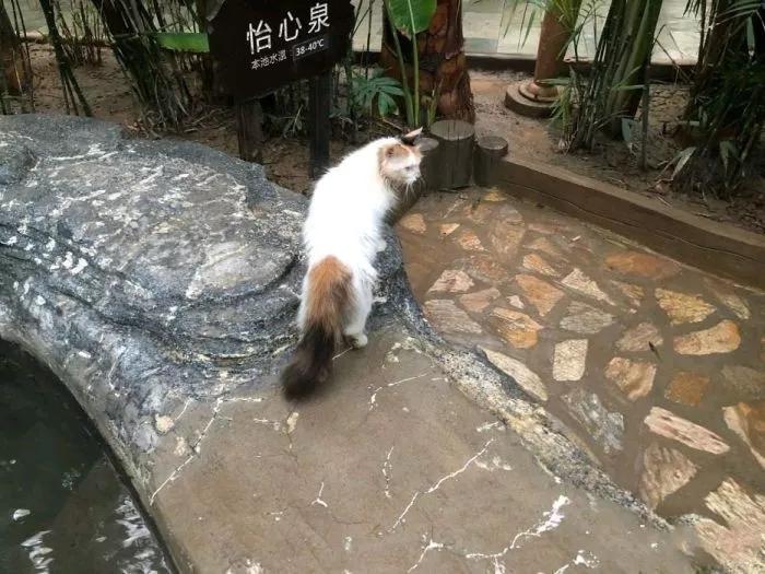 天津性价比高的洗浴中心,天津最棒最高端的洗浴中心