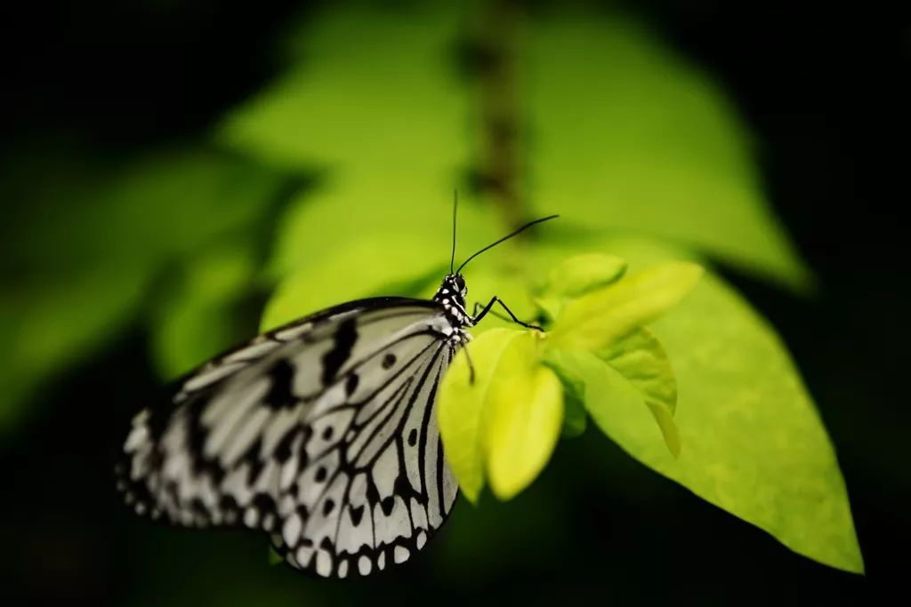 告别平谈的照片吧！17招让你的照片有大片感