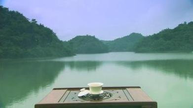 中国普洱茶十大知名品牌,中国普洱茶十大名牌排行榜