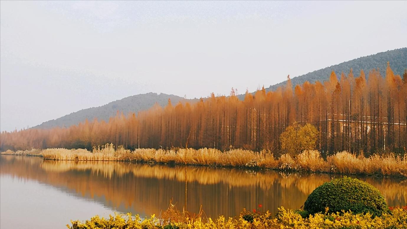 江苏省徐州市哪些区,江苏省徐州市有什么区