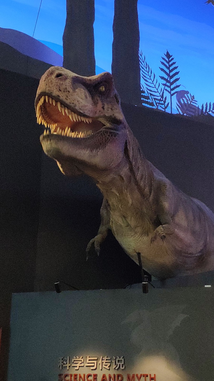 海洋博物馆带孩子游玩攻略,国家海洋博物馆最全攻略来了