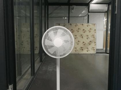 低成本高效除甲醛方法,各种除甲醛方法大pk