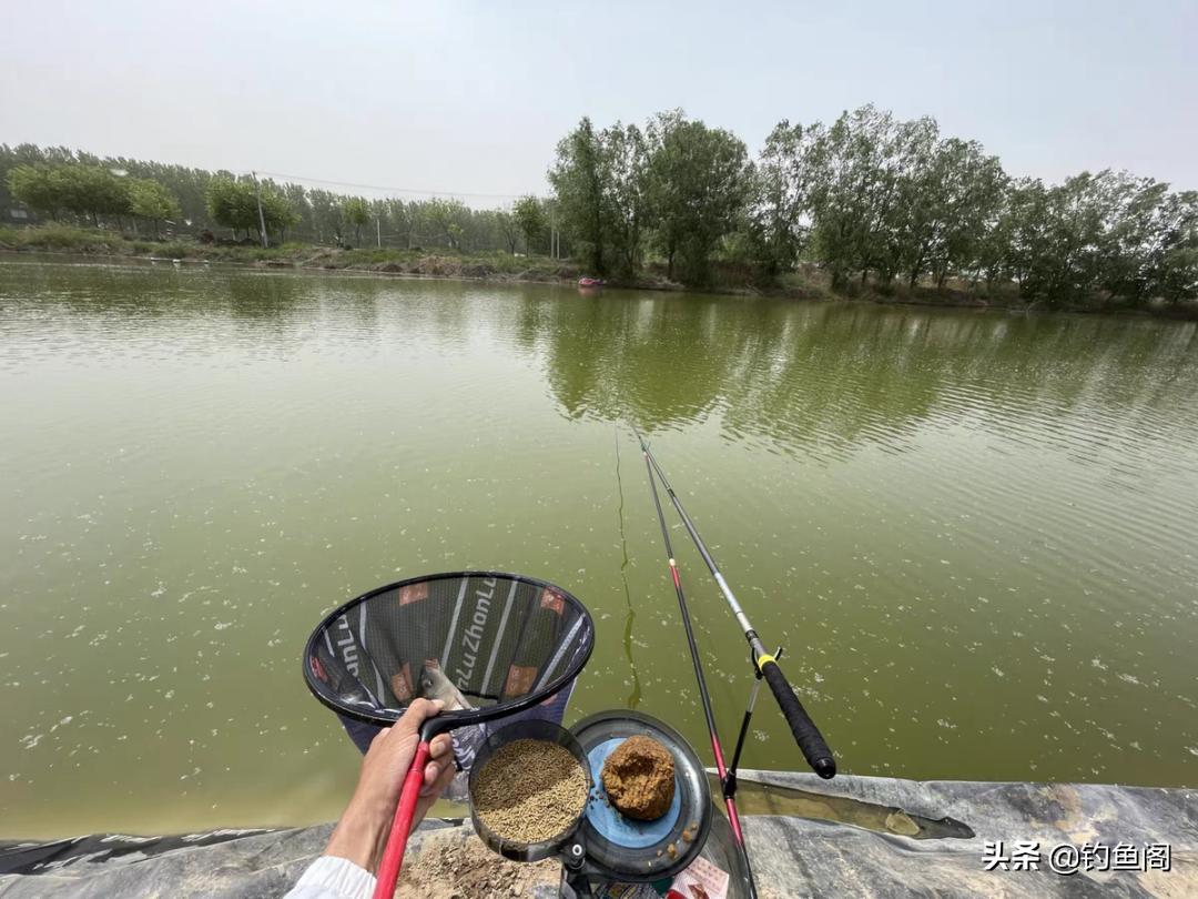 钓鱼圈也存在鄙视链？野钓黑坑吵得最凶，路亚在角落瑟瑟发抖