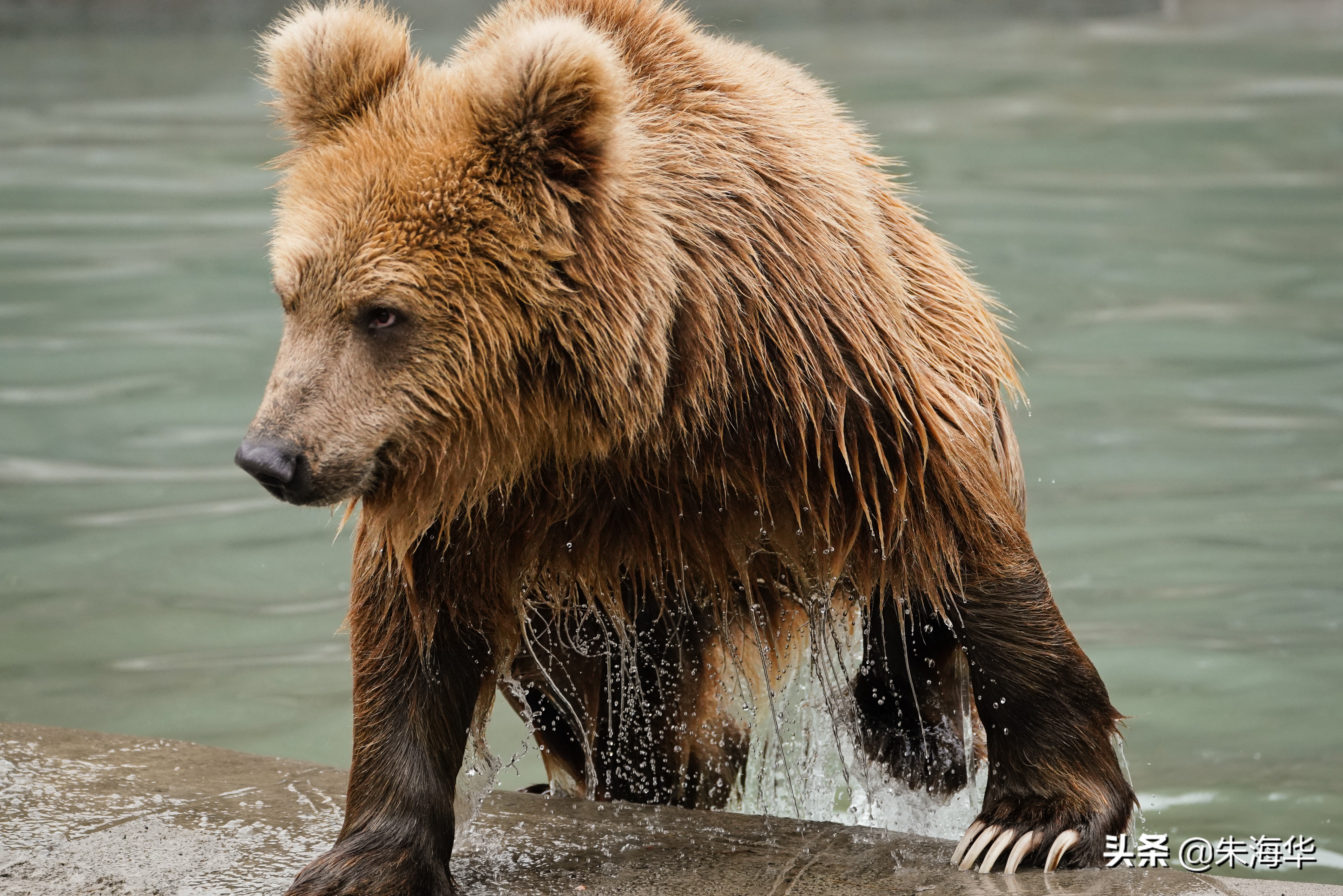 镜头记录：“它们”和我们