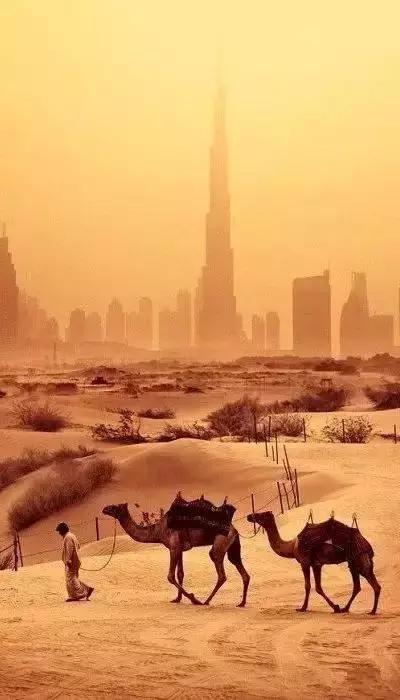 从迪拜塔往下看震撼人心,从迪拜回来的照片