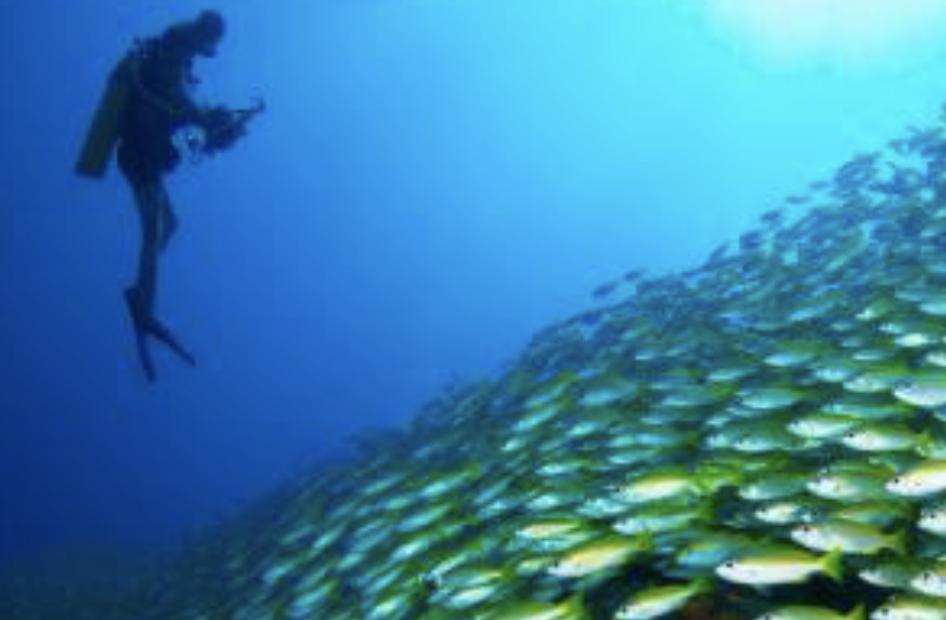 落地签和免签的旅游景点,落地签免签去哪些国家旅游好