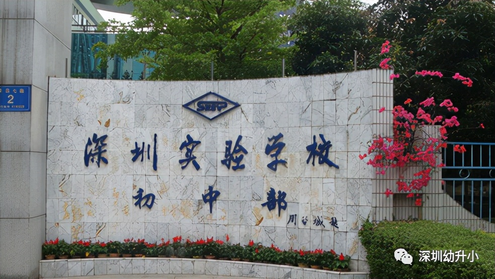 王炸组合第一,高考王炸组合哪三科