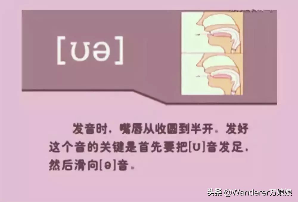 英语48个音标发音附详细图解,音标发音48个正确发音讲解视频
