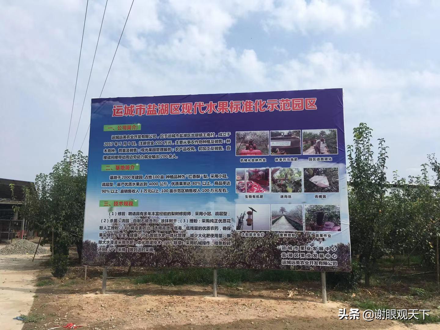 翘指齐赞嘉施利助力梨农品质高