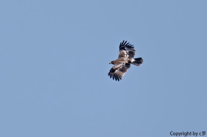 索尼alpha6000使用方法,索尼alpha6000使用技巧