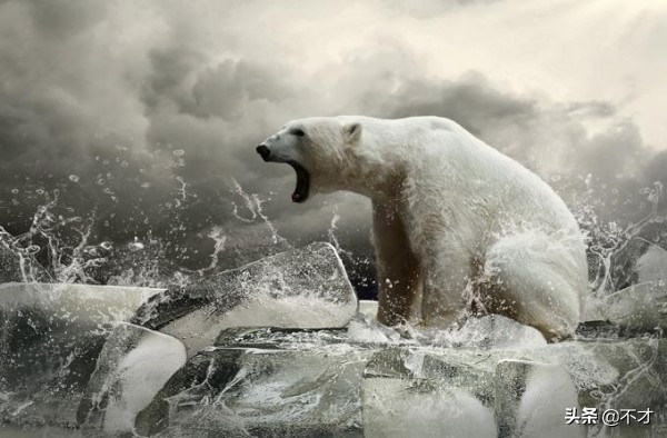 移动魔百盒是宽带续费吗,开通移动宽带可以不办理魔百盒吗