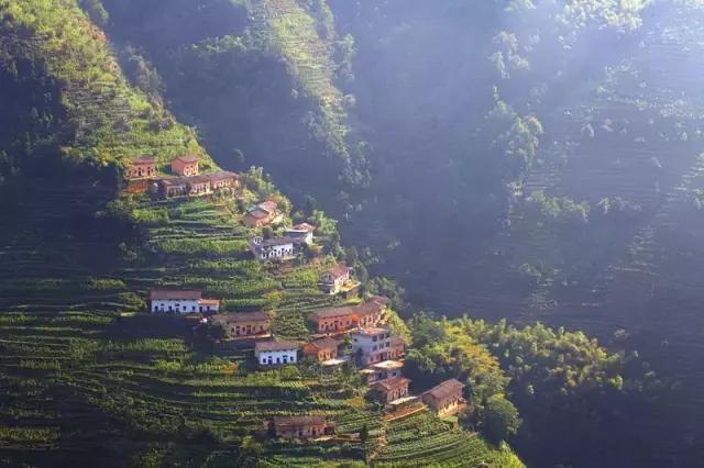 大自然唯美黄山风景摄影,打卡歙县蜈蚣岭高山茶梯田