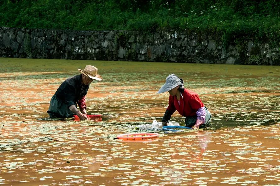 康养之城,康养之城图