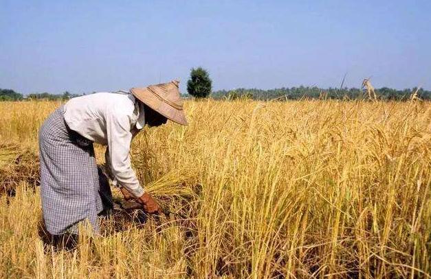 天气热被蛇咬怎么办,防止被蛇咬伤的最好方法