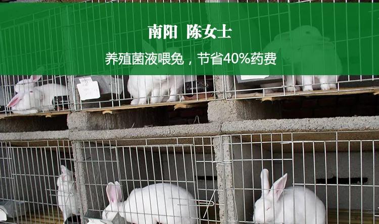 复合菌和益生菌哪个好,养殖专用益生菌的作用和功效