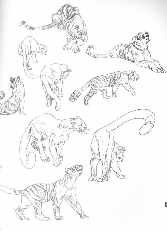 简笔画人物教程大全零基础成人,1000个适合零基础的简笔画教程