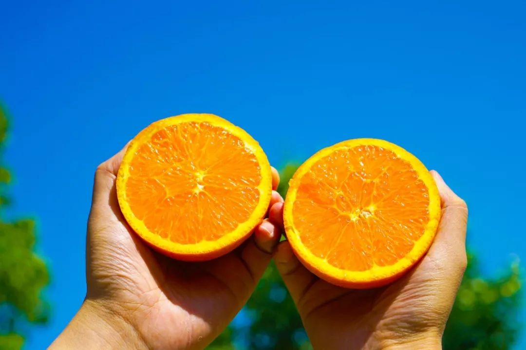 长春生鲜冷链配送,长春蔬果生鲜配送新鲜直达