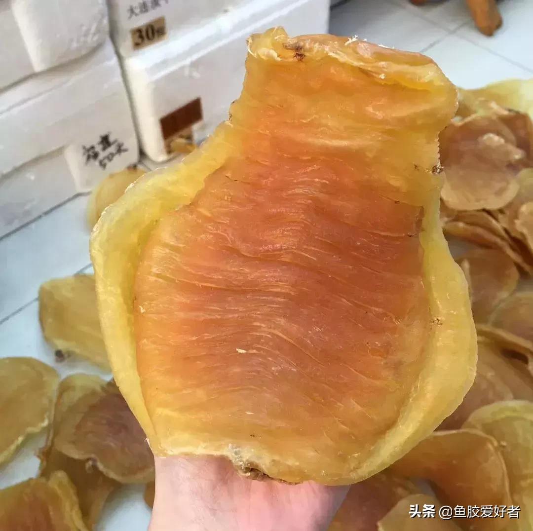 五大顶级鱼胶赤嘴鳘鱼胶,五大赤嘴鱼胶