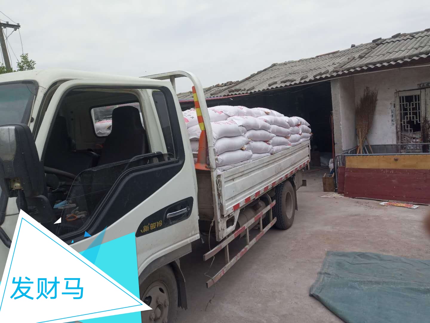 投资70万：已外购保育猪一个月的老陈，今年收益还能靠谱吗？