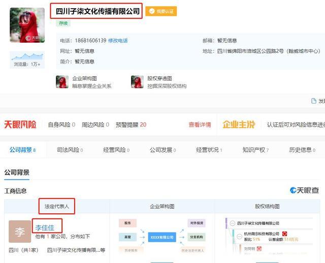 网红李子柒的商业价值分析,李子柒创业团队有哪些人