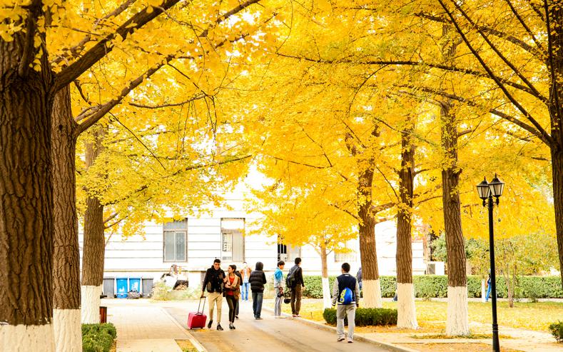 北京硬核大学：1个学科世界第一，获央视、人民日报等媒体百余次聚焦！