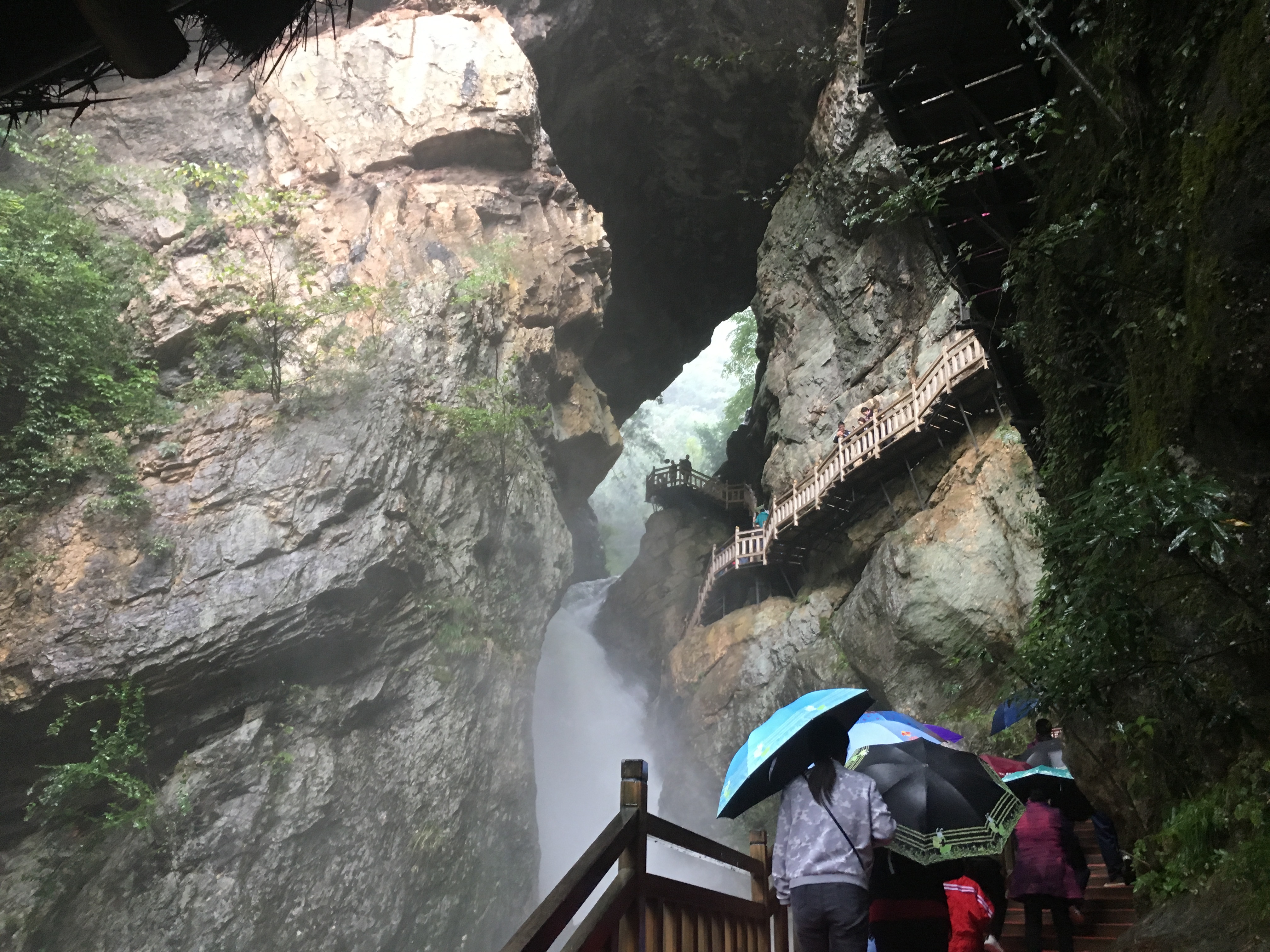 雨中神农架探秘之旅｜国庆节节武汉至神农架自驾游攻略分享