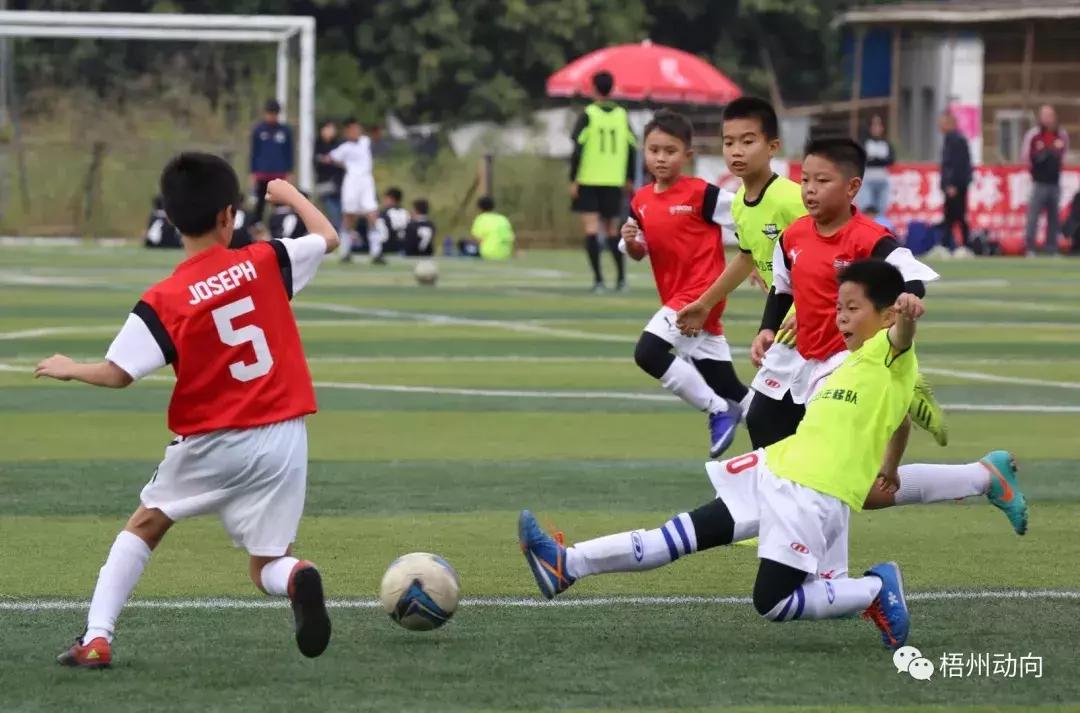 足球训练营公益,足球带给孩子们更多的快乐和成长