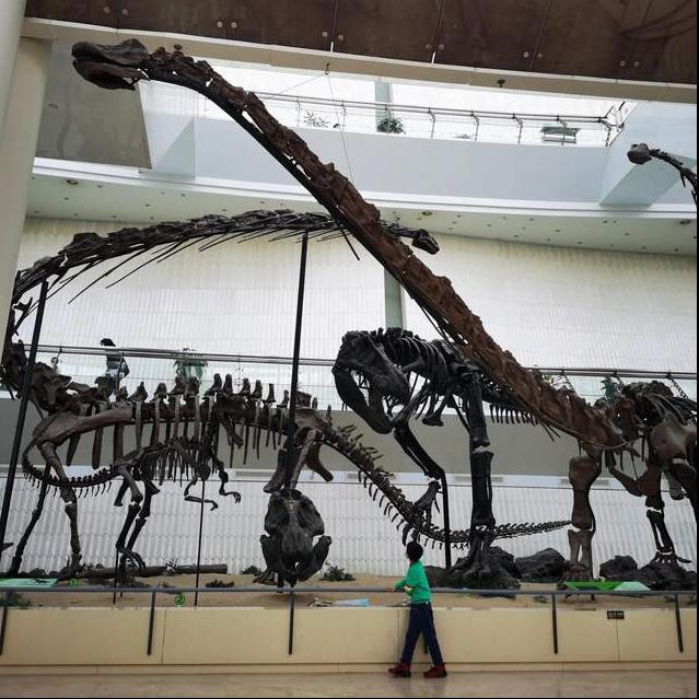 北疆博物馆历史,北疆博物馆最早建立的时间