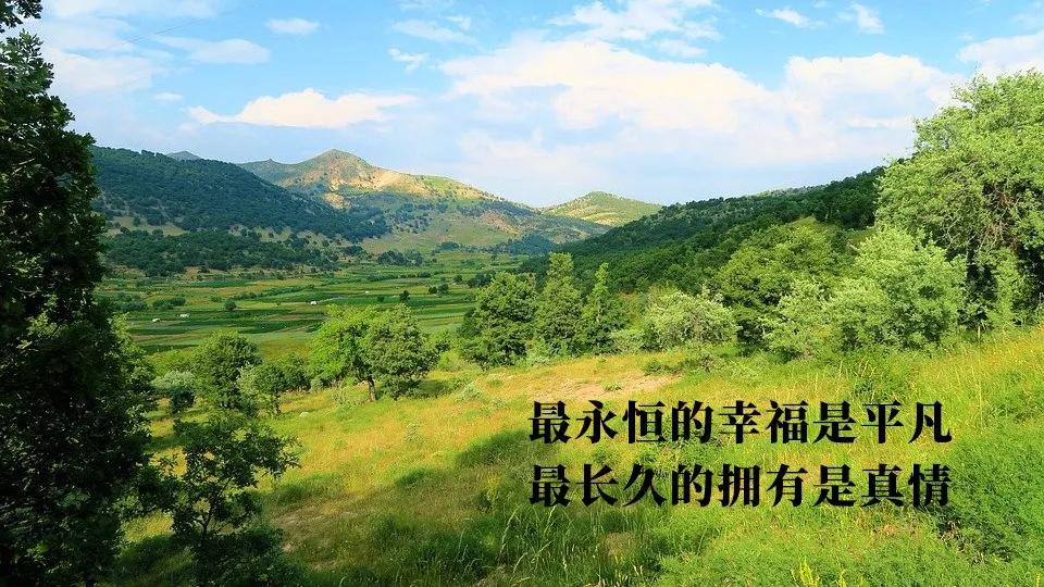 今天问候,今日问候最新版
