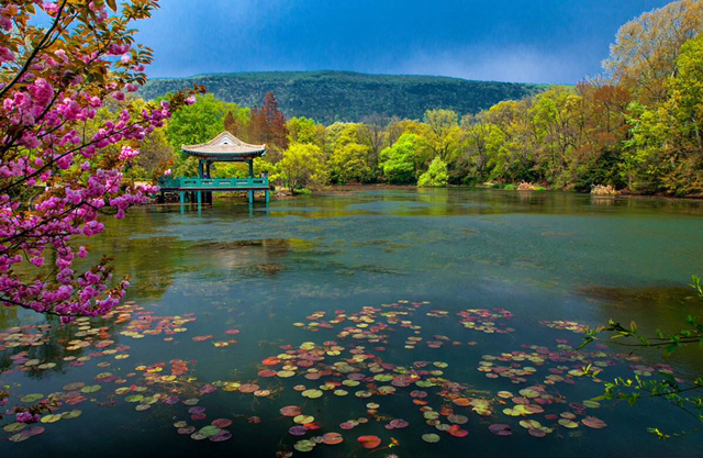 杜甫哪首诗写了春天的五彩斑斓,春天是杜甫笔下似春雨般的什么