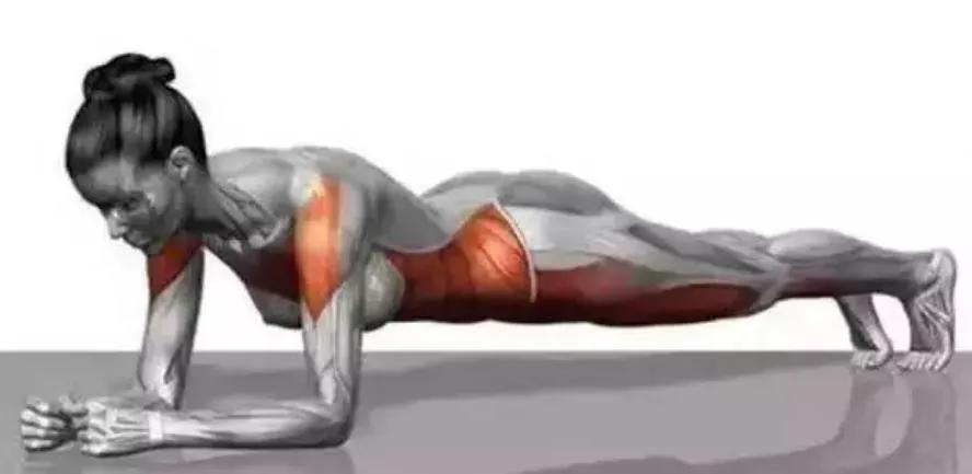 平板支撑能练到所有核心力量吗,平板支撑真的可以练核心吗