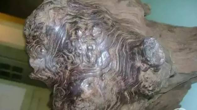 四川出土金丝楠阴沉木,金丝楠阴沉木出土现场