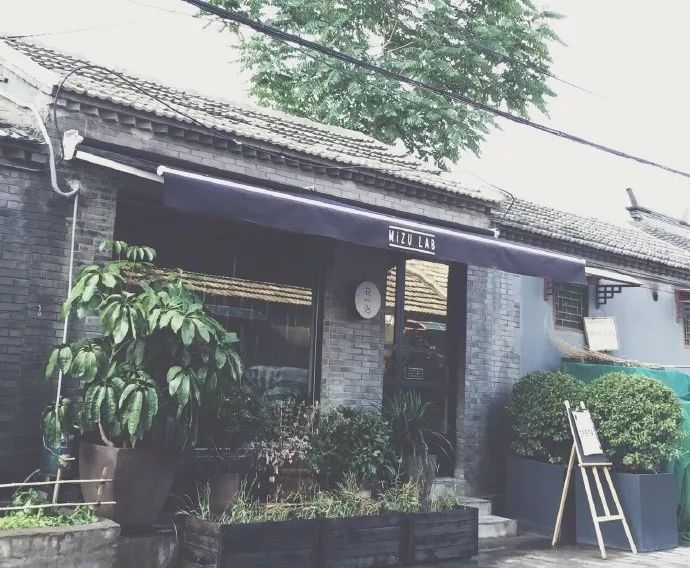 北京最美花店,她放弃了总监职位后续