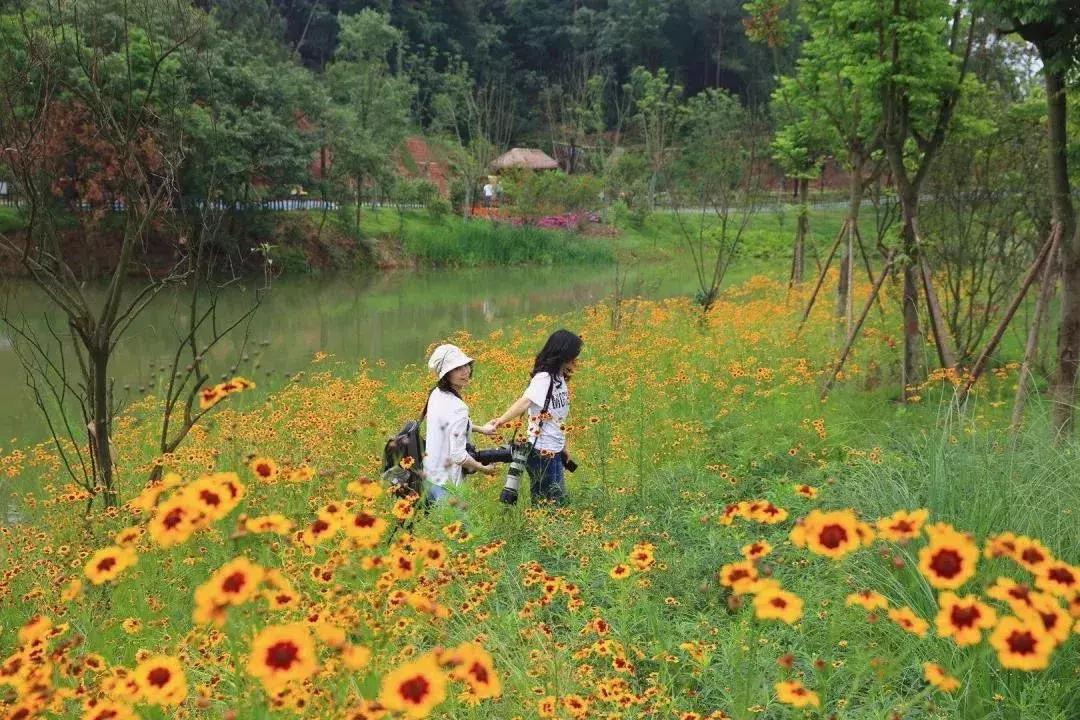 承包你的最美夏天！快来双流这个小普罗旺斯打卡