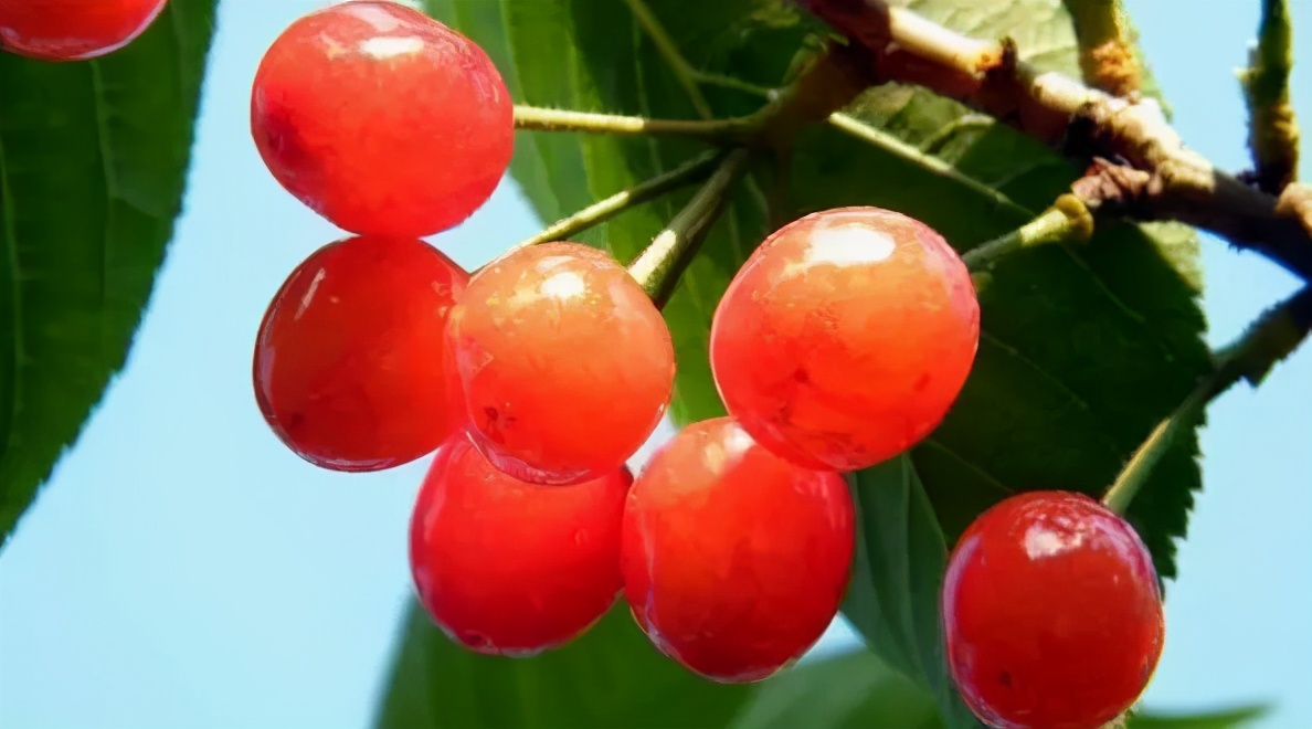 最美的乡村旅游攻略,五大最美乡村旅游攻略