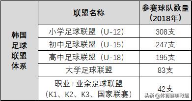 以青训的视角来看中韩足球的差距,中日韩足球青训对比