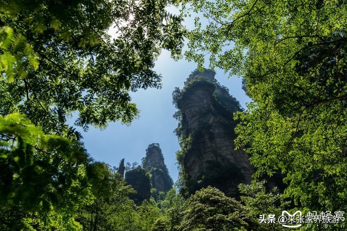 张家界武陵源天门山三日游团购,天门山森林公园张家界自由行攻略
